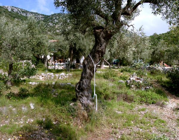  image: baie  à vendre dans le Pilion en Grèce.