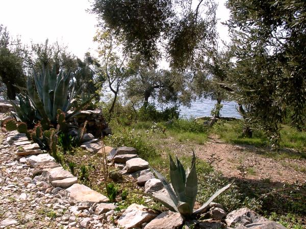  image: baie  à vendre dans le Pilion en Grèce.