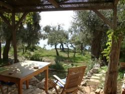  Petit déjeuner sur la terrasse - le seul «bruit» qui se fait entendre est celui des cigales 